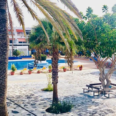 Cozy With Pool *